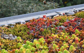 the cost of Stopsley green roof installation