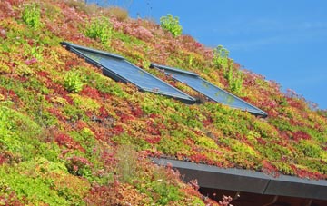 Stopsley living roof systems